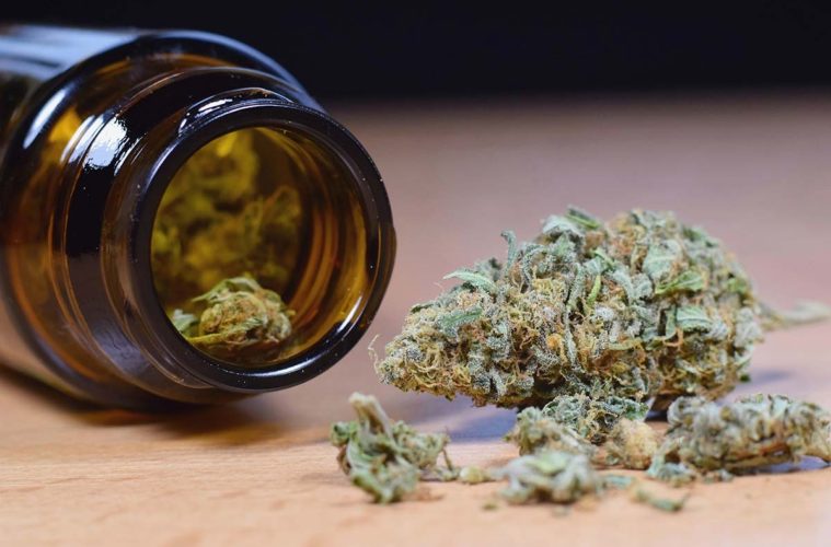 Understanding the THCa Hemp Flower: A Legal Path to THC Benefits