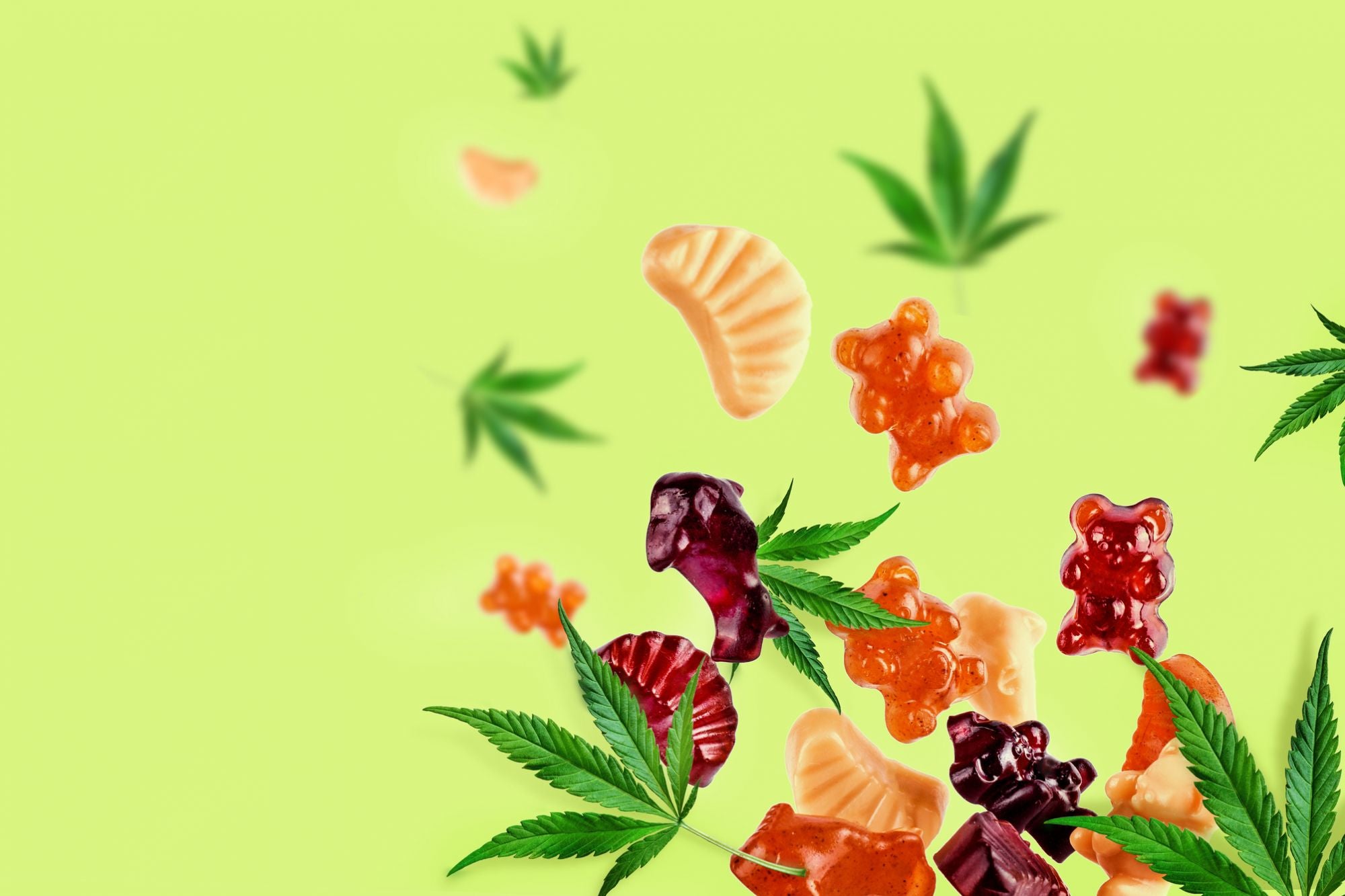 What Are the Ingredients Used in CBD Gummies, and Are They Natural or Synthetic?