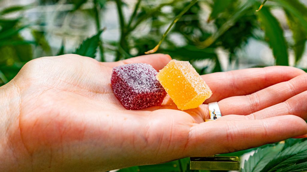 best cbd gummies